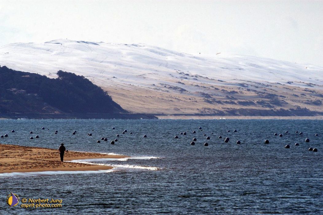 Nom de l'image : D1112395-nef-01_(c)Norbert-JUNG — Description :